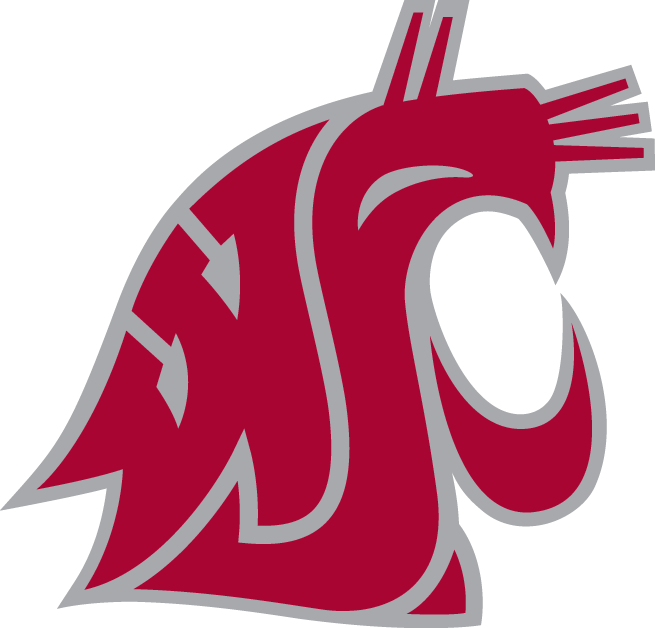 Washington State Cougars 1995-Pres Alternate Logo v5 diy fabric transfer
